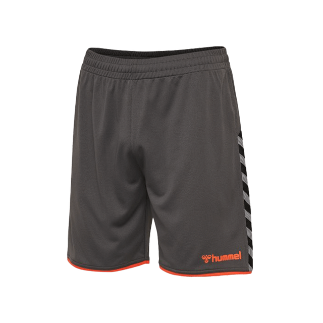 Hummel Hmlauthentic poly shorts Gray