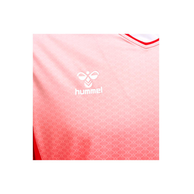 Camiseta Hummel hmlCore Xk Sublimation S/S Rojo