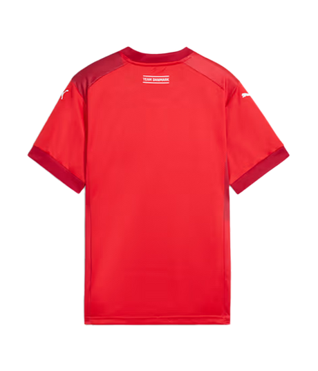 Puma Denmark Men's Handball Jersey