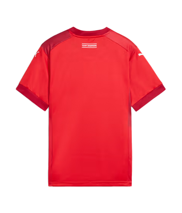 Puma Denmark Men's Handball Jersey