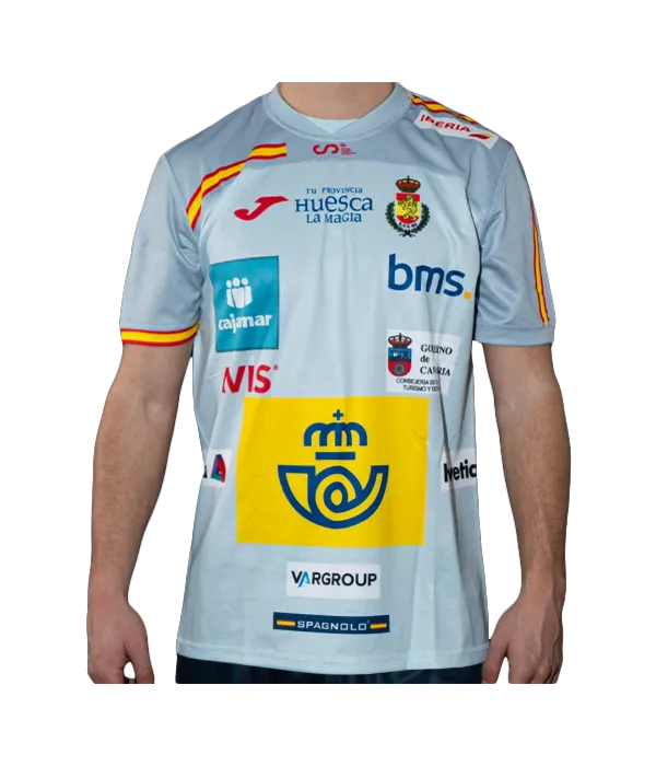 Camiseta Joma España Balonmano Masculino Gris 2026
