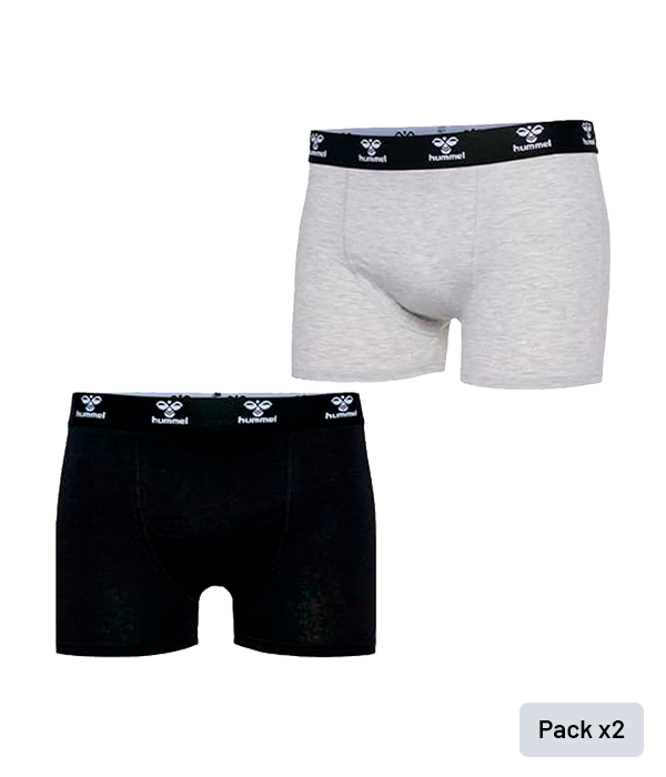 Hummel 2023 black/gray briefs (Pack x2)